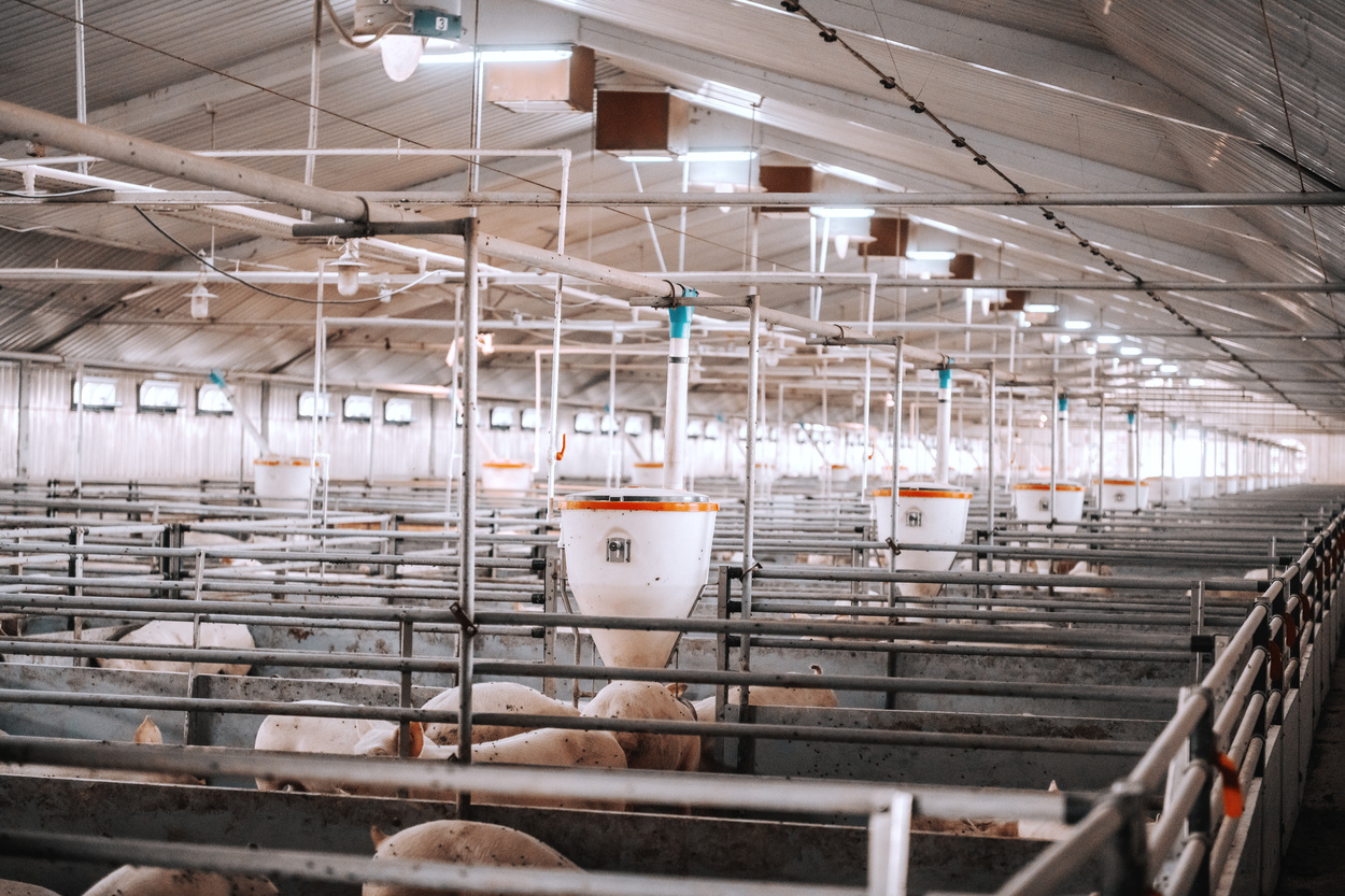 Adobestock 260458280